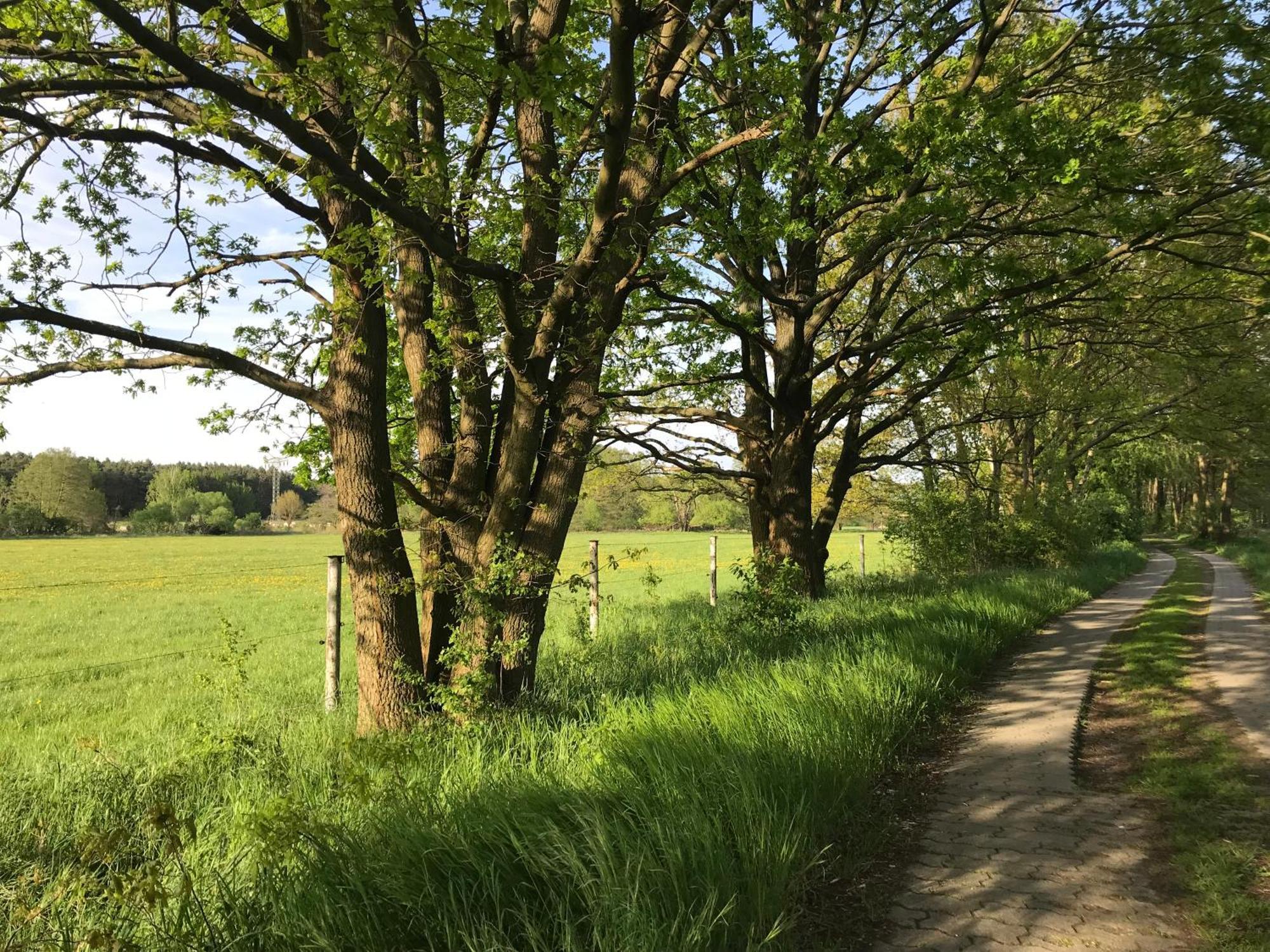 Ferienwohnung Ortrand - Pension 外观 照片
